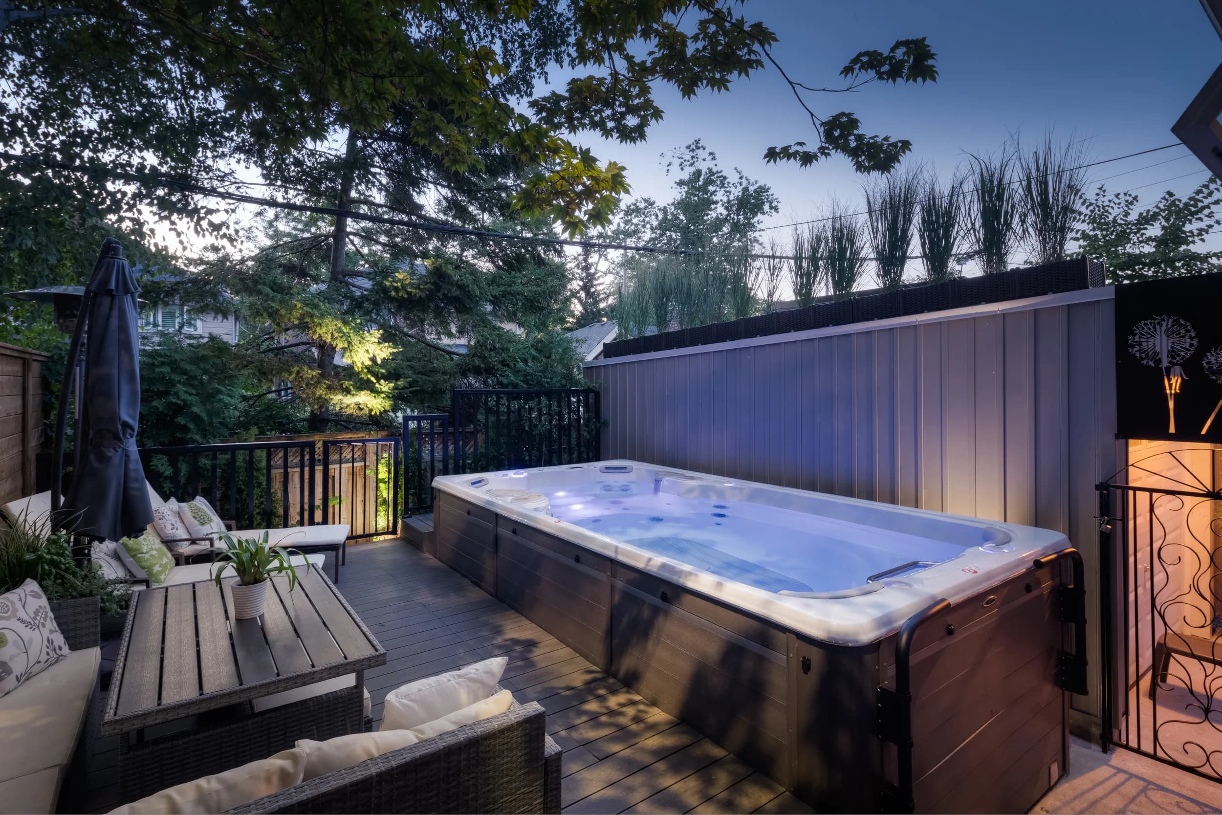 Swim Spas