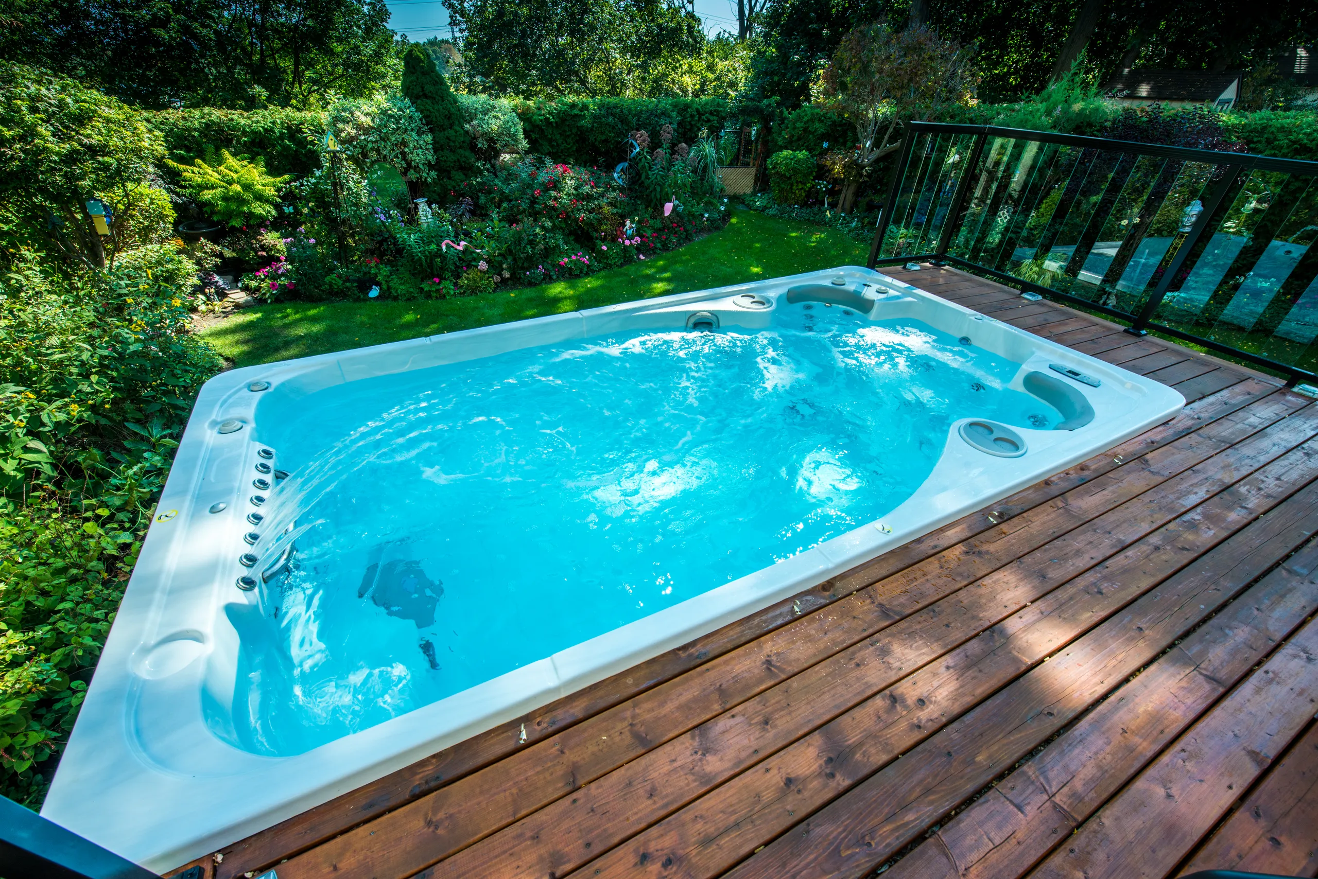 D Souza Swim Spa